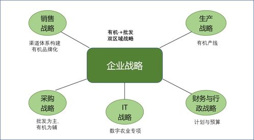 農(nóng)業(yè)軟件開(kāi)發(fā)戰(zhàn)略落地的路徑與銷售實(shí)踐